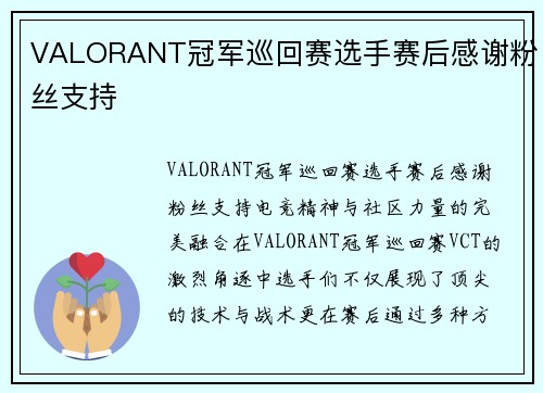 VALORANT冠军巡回赛选手赛后感谢粉丝支持