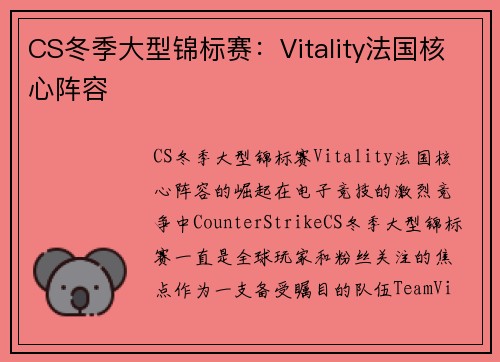 CS冬季大型锦标赛：Vitality法国核心阵容