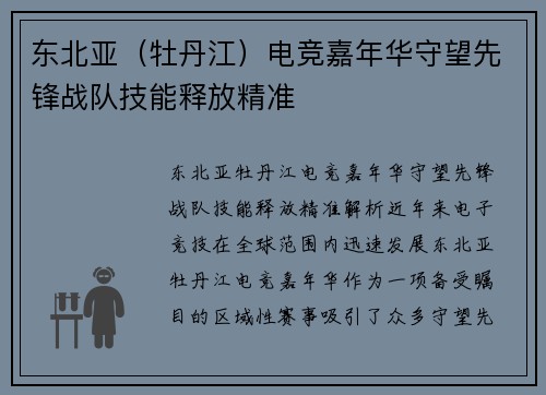 东北亚（牡丹江）电竞嘉年华守望先锋战队技能释放精准