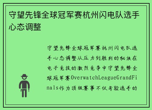 守望先锋全球冠军赛杭州闪电队选手心态调整