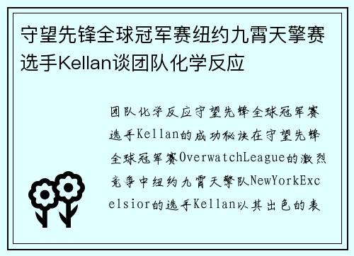 守望先锋全球冠军赛纽约九霄天擎赛选手Kellan谈团队化学反应