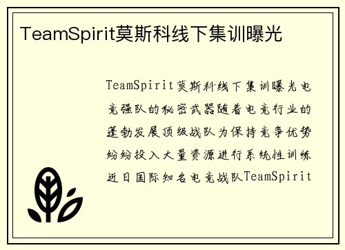 TeamSpirit莫斯科线下集训曝光