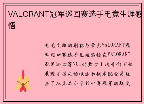 VALORANT冠军巡回赛选手电竞生涯感悟